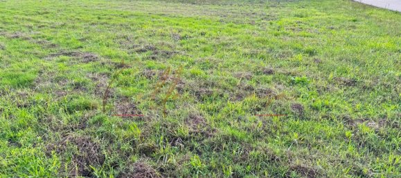 1232m² Land in Oia, Portugal No. 97479 5