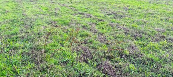 1232m² Land in Oia, Portugal No. 97479 3