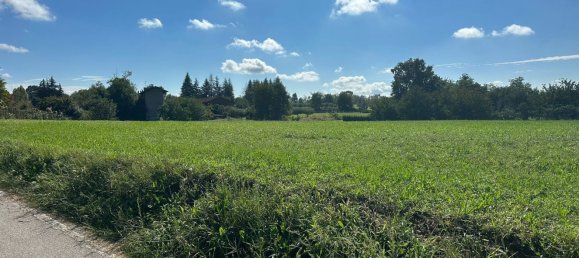 5800m² Land in Divignano, Italy No. 157814 10