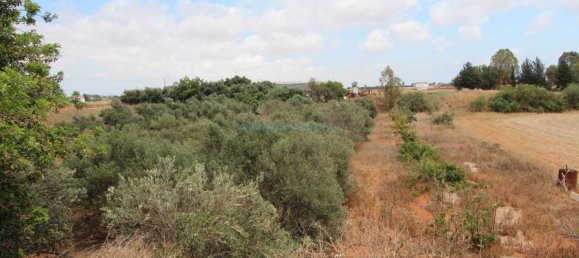 3 bedrooms House in Xylofagou, Cyprus No. 23850 18