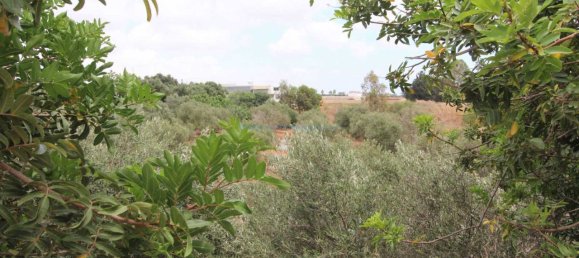 3 bedrooms House in Xylofagou, Cyprus No. 23850 5