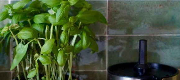 6غرفة فيلا في Ponzone, Italy رقم 280431 9