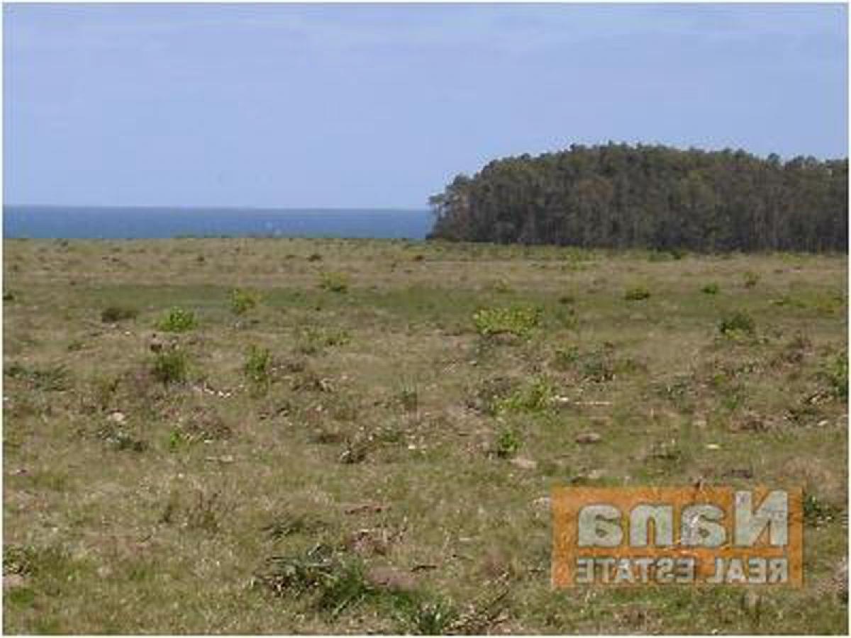  Farm in Maldonado, Uruguay No. 14527