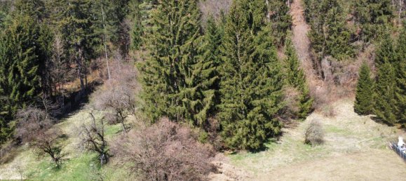 Terreno em Worschach, Austria N.º 213458 2