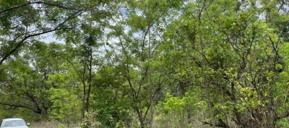 Land in Liberia, Costa Rica No. 1804 5