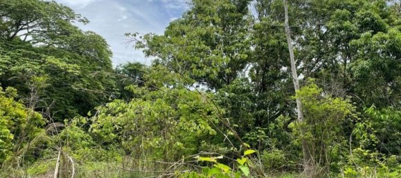 Land in Liberia, Costa Rica No. 1804 4