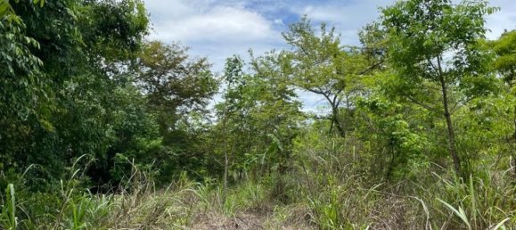 Land in Liberia, Costa Rica No. 1804 3