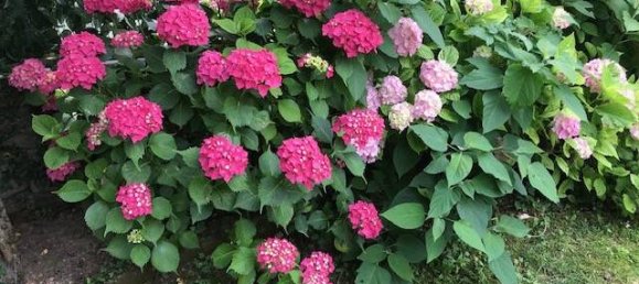 3 Schlafzimmer Villa in Almese, Italy, Nr. 80459 6