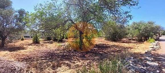 Terreno en Sao Bras de Alportel, Portugal 600 m² No. 35266 8