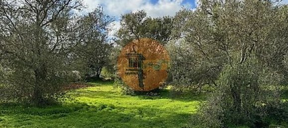 Terreno en Sao Bras de Alportel, Portugal 600 m² No. 35266 3