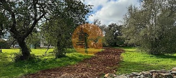 Terreno en Sao Bras de Alportel, Portugal 600 m² No. 35266 4