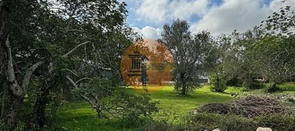 Terreno en Sao Bras de Alportel, Portugal 600 m² No. 35266 2