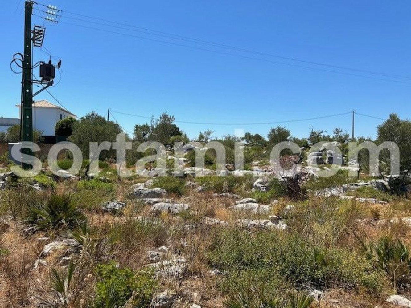 12120m² Land in Olhao, Portugal No. 139523