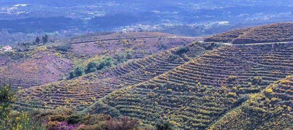 4 Schlafzimmer Villa in Sao Pedro do Sul, Portugal, Nr. 190203 17