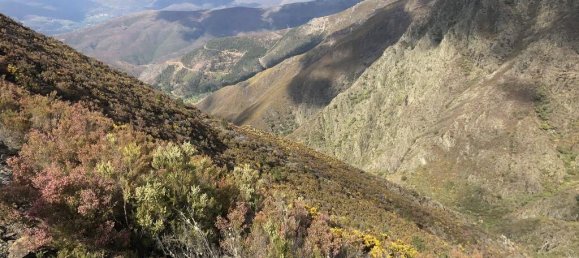 4 Schlafzimmer Villa in Sao Pedro do Sul, Portugal, Nr. 190203 16