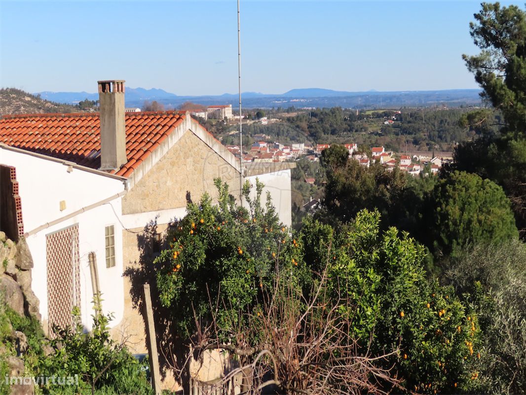 3 bedrooms House in Lourical do Campo, Portugal No. 175900