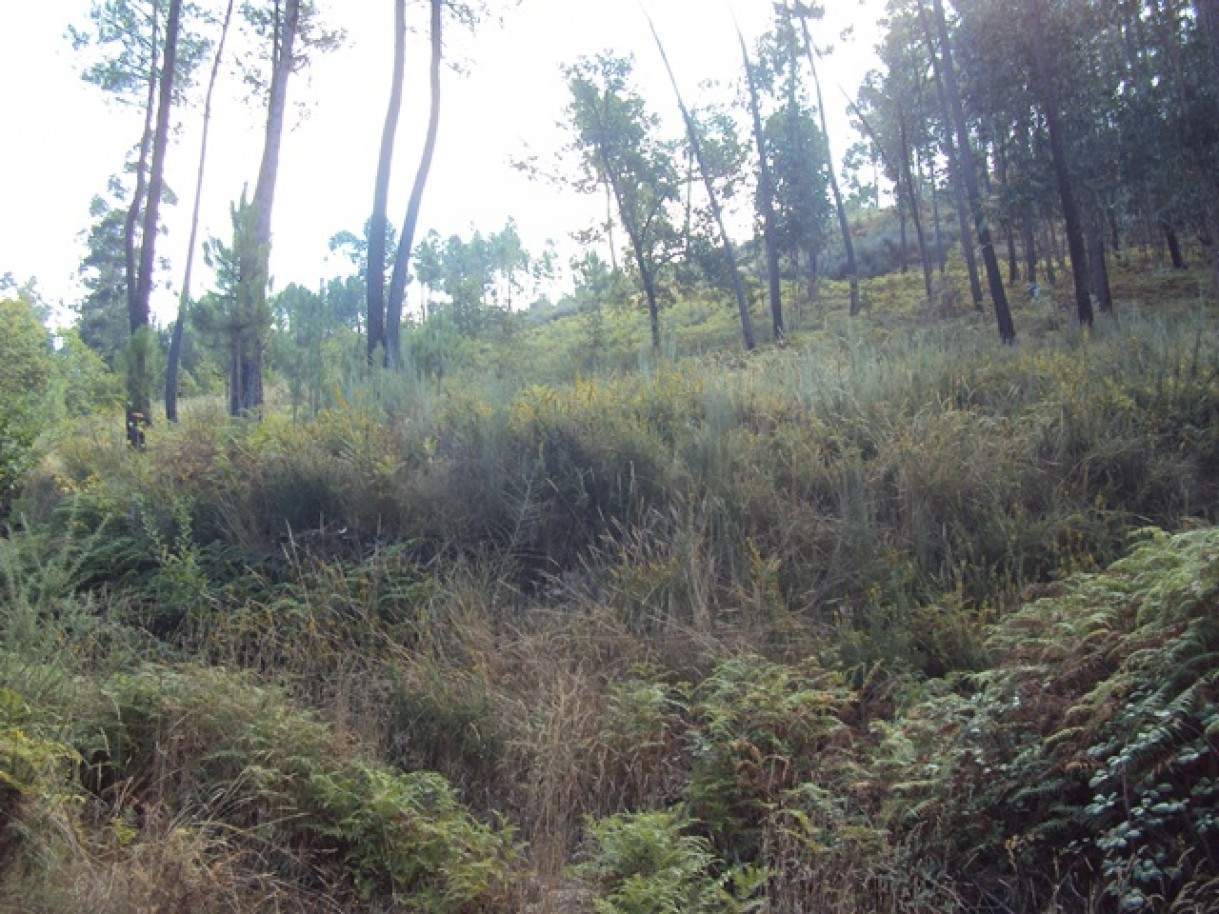  Land in Marco de Canaveses, Portugal No. 57458