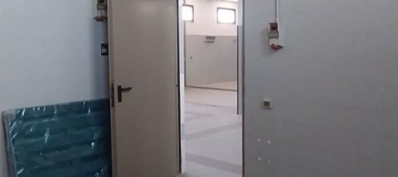 360m² Warehouse in Bauladu, Italy No. 379618 5