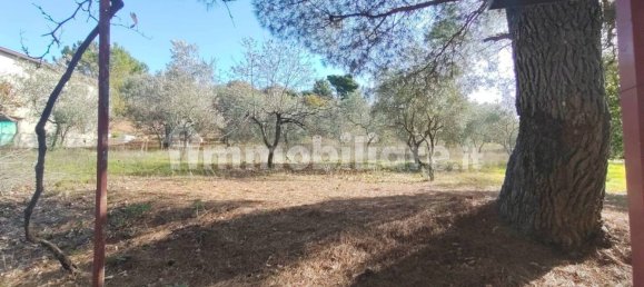 3 غرف نوم فيلا في Santa Cristina Gela, Italy رقم 152126 22