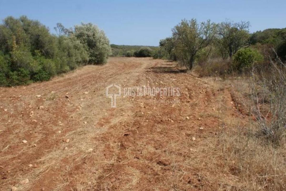  Land in Vila do Bispo, Portugal No. 8672