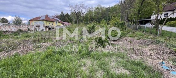  Land in Staatz, Austria No. 106739 7