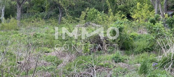  Land in Staatz, Austria No. 106739 6