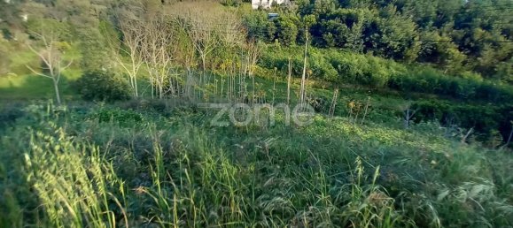 1603m² Land in Luso, Portugal No. 28173 11