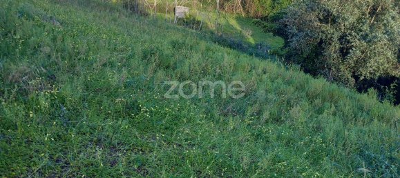 1603m² Land in Luso, Portugal No. 28173 12