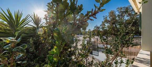 6 غرف نوم منزل في Alcacer do Sal, Portugal رقم 18308 6