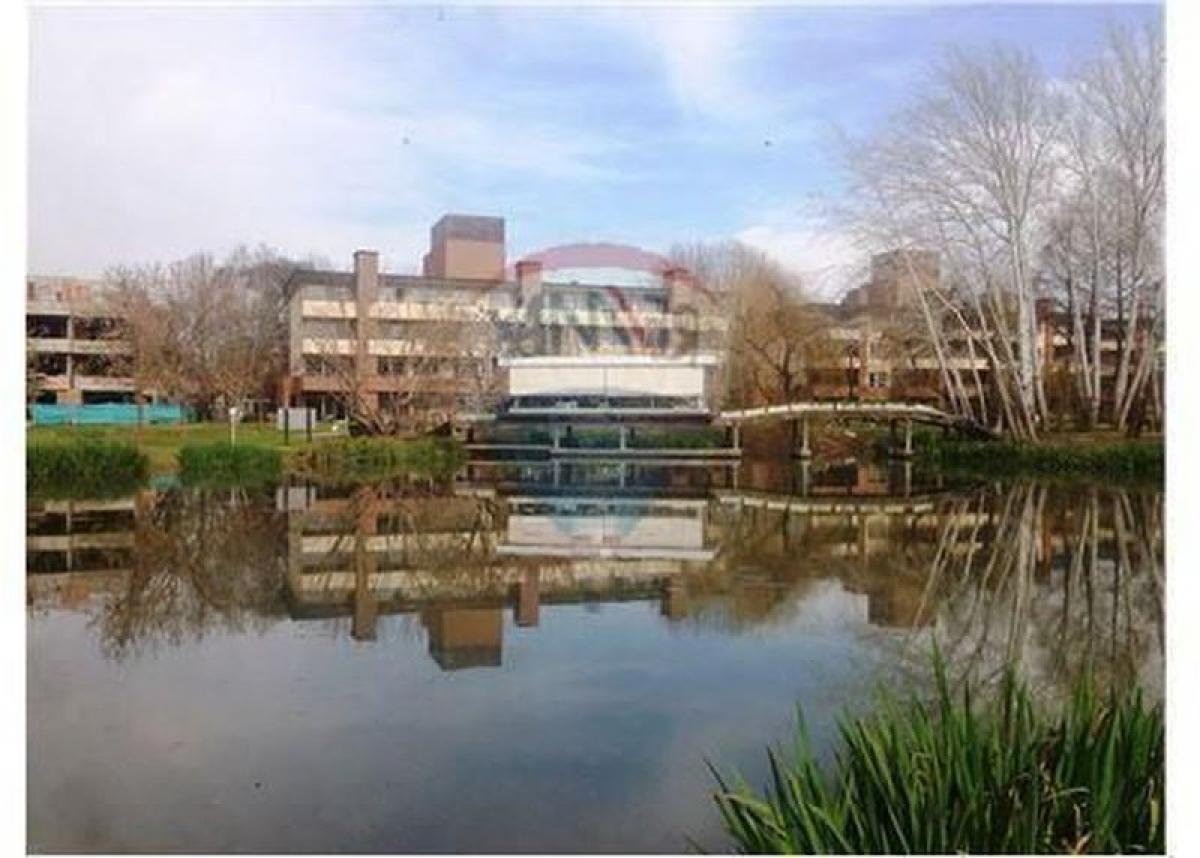 Studio in Pilar, Argentina No. 6030