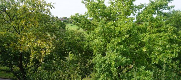 1 bedroom Apartment in Esslingen, Germany No. 347470 3