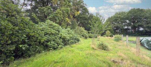 4-Zimmer Haus in Heidekreis, Germany, Nr. 264493 14