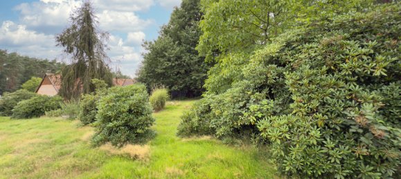 4-Zimmer Haus in Heidekreis, Germany, Nr. 264493 13