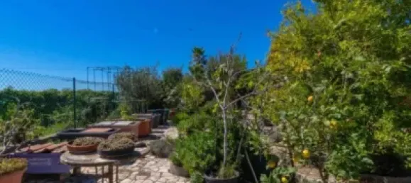 4 bedrooms House in Sant Cebria De Vallalta, Spain No. 142987 24