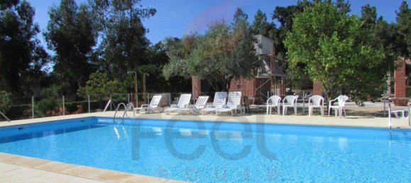 11 bedrooms House in Almeirim, Portugal No. 63125 13