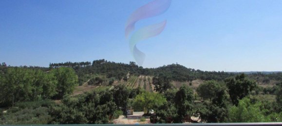 11 bedrooms House in Almeirim, Portugal No. 63125 50