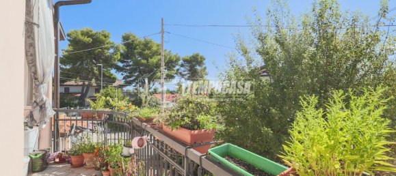 4غرفة شقة في Misano Adriatico, Italy رقم 305142 9