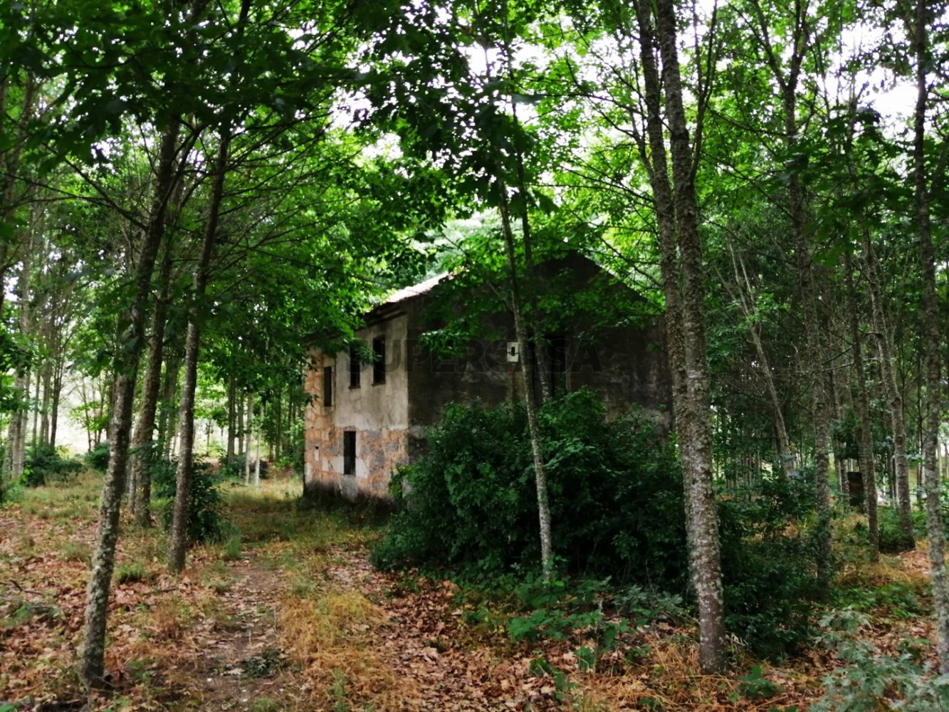 3 bedrooms House in Penalva do Castelo, Portugal No. 306929