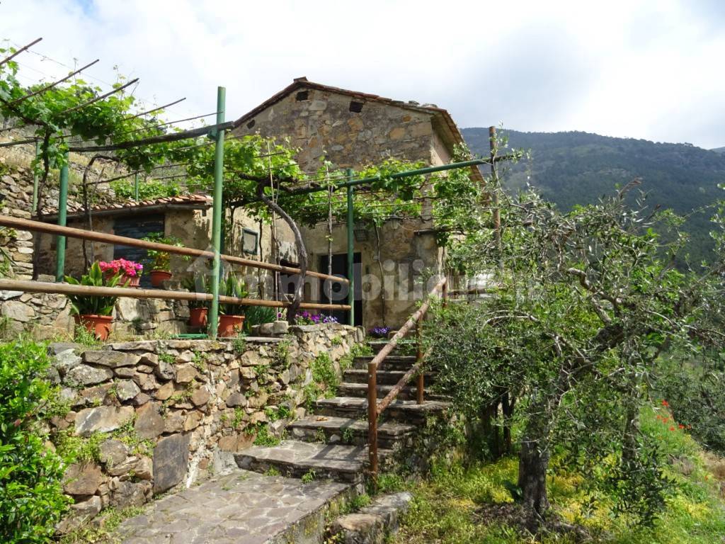 3 chambres Maison à Calci, Italy No. 82778