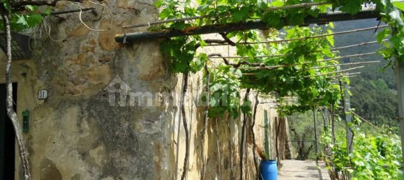 3 chambres Maison à Calci, Italy No. 82778 13