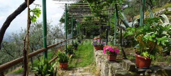 3 chambres Maison à Calci, Italy No. 82778 11