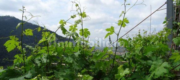 3 chambres Maison à Calci, Italy No. 82778 8