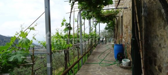 3 chambres Maison à Calci, Italy No. 82778 6