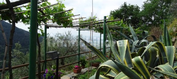 3 chambres Maison à Calci, Italy No. 82778 15