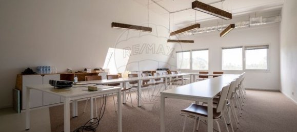 1500m² Warehouse in Vouzela, Portugal No. 75912 14