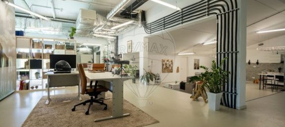 1500m² Warehouse in Vouzela, Portugal No. 75912 25