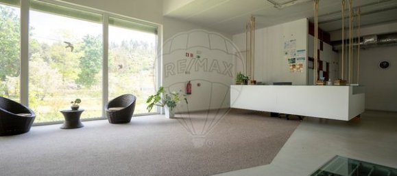 1500m² Warehouse in Vouzela, Portugal No. 75912 6