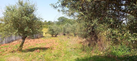 6000m² Land in Ferreira do Zezere, Portugal No. 91080 9