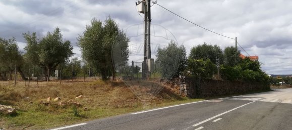 6000m² Land in Ferreira do Zezere, Portugal No. 91080 3