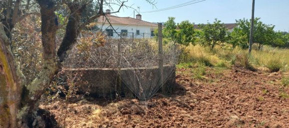 6000m² Land in Ferreira do Zezere, Portugal No. 91080 7